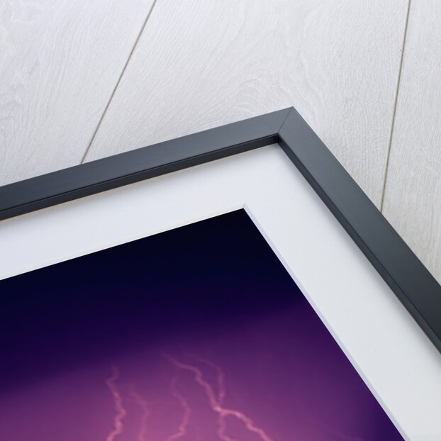 Abundance of Lightning Strikes near Tucson by Anonymous