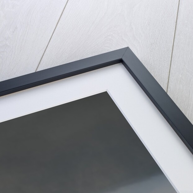 Tornado near House in Kansas by Anonymous