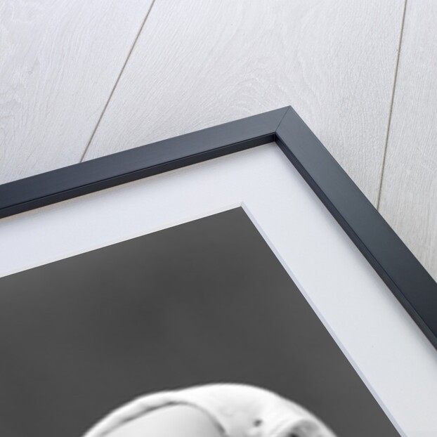 1940s Baby Bending Down With Head On Blanket by Anonymous