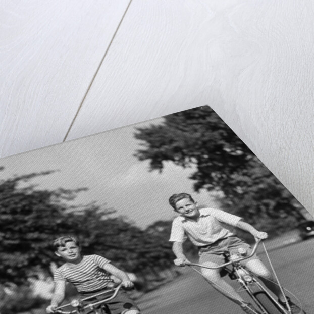 1930s 1940s Two Boys Riding Bikes On Tree Lined Street by Anonymous