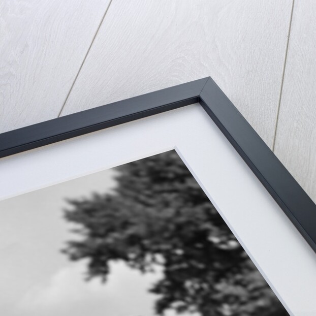 1930s 1940s Two Boys Riding Bikes On Tree Lined Street by Anonymous
