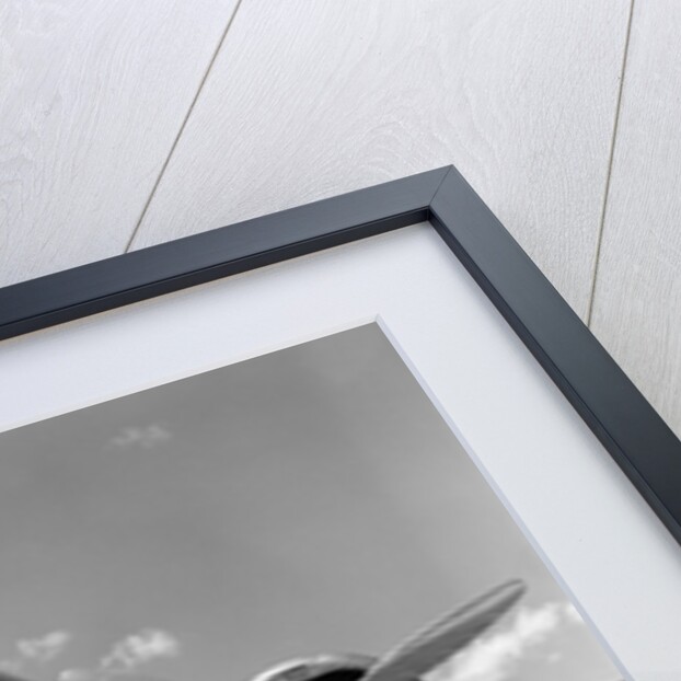 1940s Domestic Passenger Airplane Dual Propeller Landing Gear by Anonymous