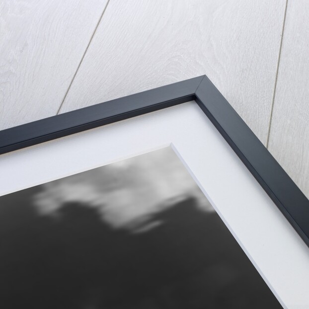 1950s Woman In A Bathing Suit Water Skiing Spray Towline Speed Exhilaration by Anonymous