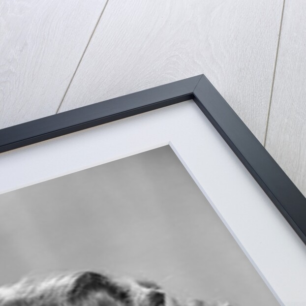 1950s Stressed Woman In Striped Dress Hold Forehead With Hand by Anonymous