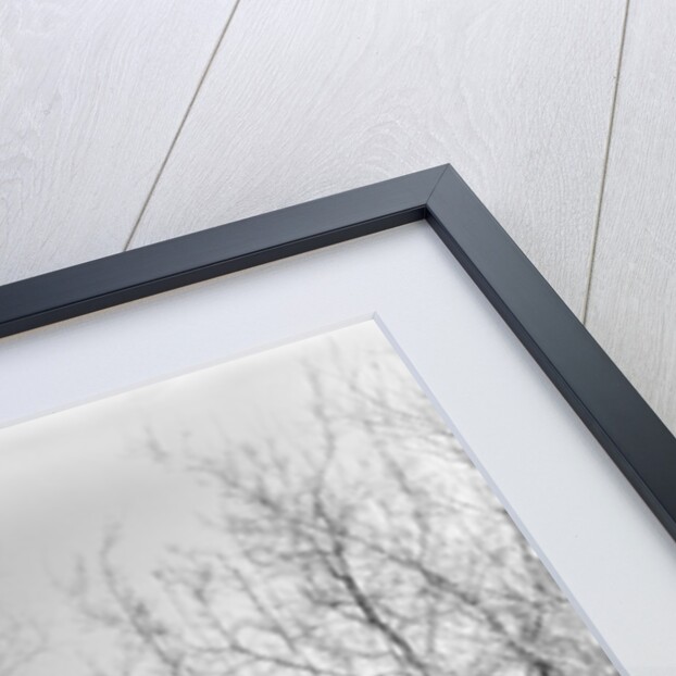 1940s Boy Walking Down Country Road With Can Of Worms And Fishing Pole by Anonymous