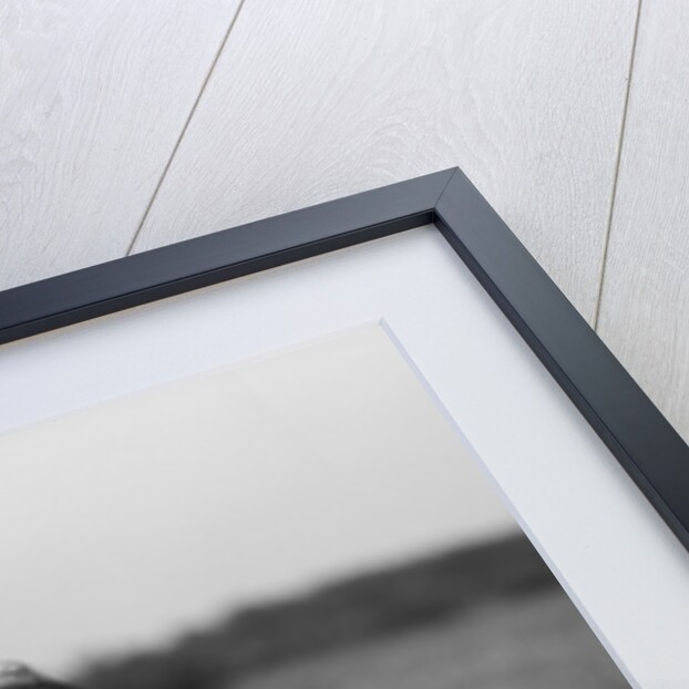 1920s Girl In Meadow Holding Bunch Of Daisies by Anonymous
