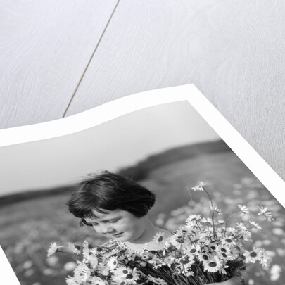 1920s Girl In Meadow Holding Bunch Of Daisies by Anonymous