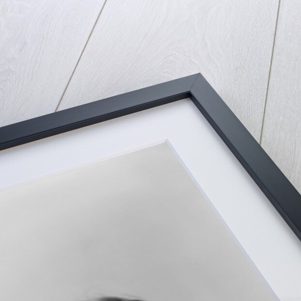 1930s Boy Making Strong Muscle Flexing Arm by Anonymous