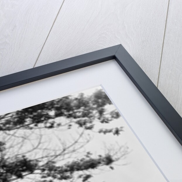 1950s Happy Family Mother Father Daughter Son Walking In Park by Anonymous