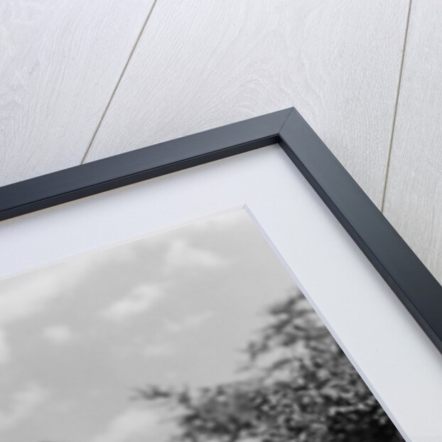 1940s Twin Girls Riding Outside On Tricycle by Anonymous