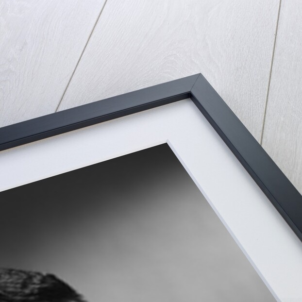 1960s Young Man Holding Glass Of Milk by Anonymous