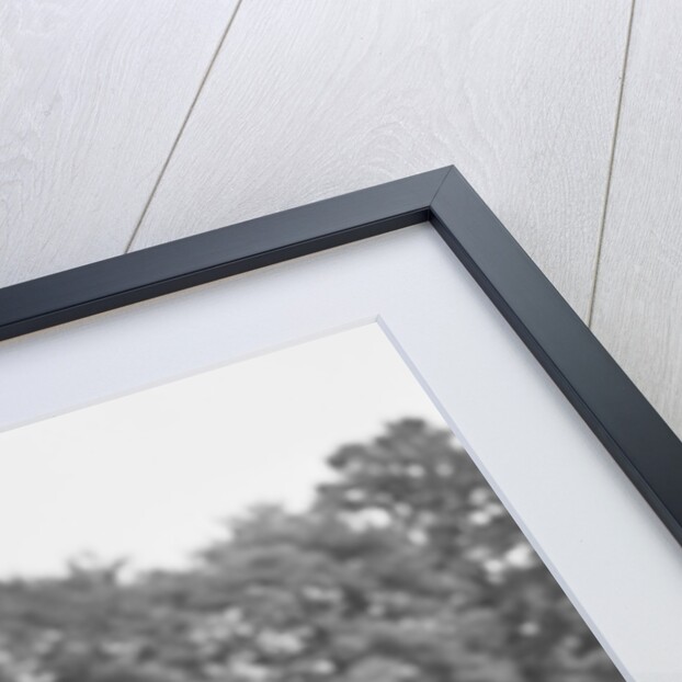 1940s Football Player Being Tackled by Anonymous