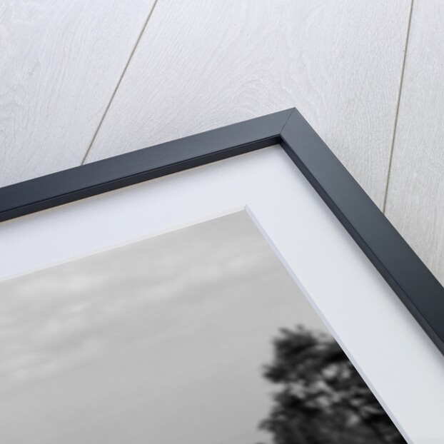 1930s 1940s Man Golfer Sand Trap Scratching His Head by Anonymous