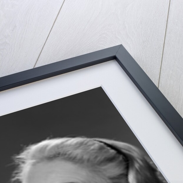 1950s 1960s Woman Housewfe In Apron Proudly Pointing At Herself With Thumb by Anonymous