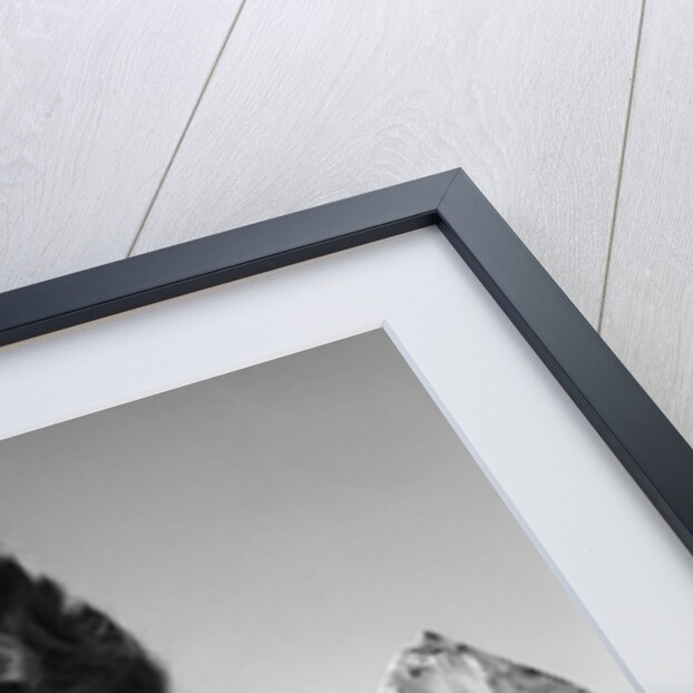 1950s Woman Presenting Holding Freshly Baked Pie by Anonymous