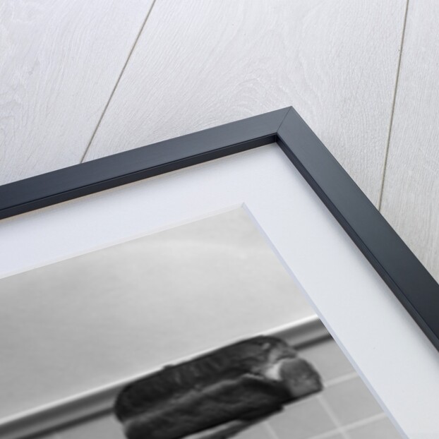 1930s 1940s Grandmother In Apron Admiring Loaf Of Freshly Baked Bread by Anonymous