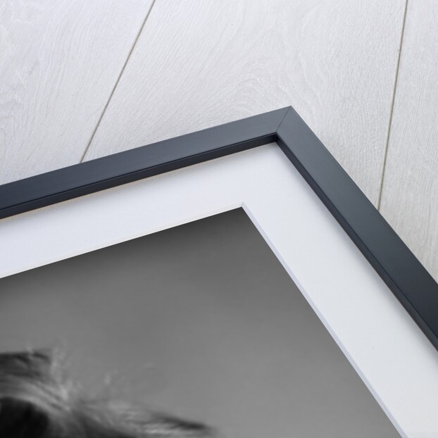 1940s Baby Girl Sticking Out Her Tongue by Anonymous