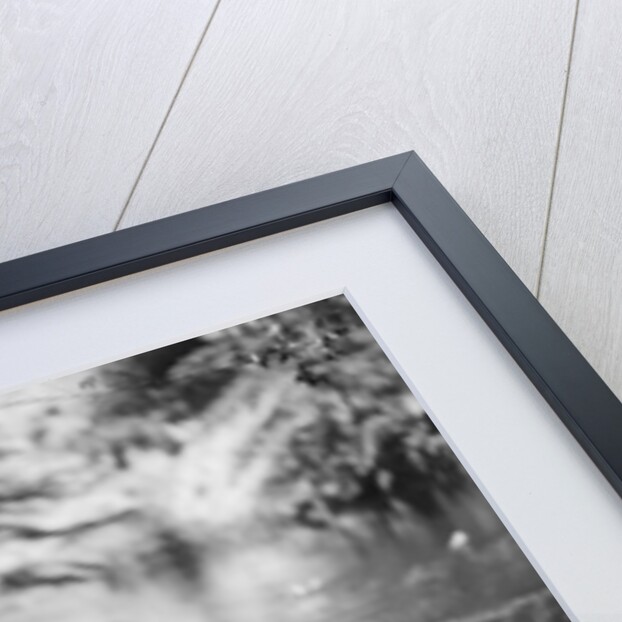 1920s Woman With Upswept Hair Paddling Wooden Canoe In Stream by Anonymous