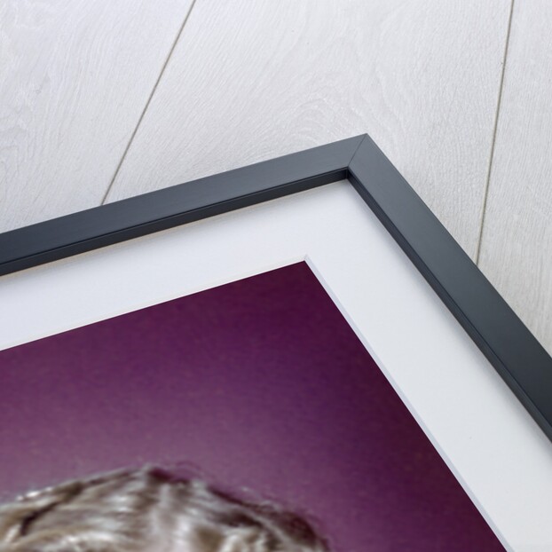 1940s 1950s Girl Holding Spotted Puppy by Anonymous