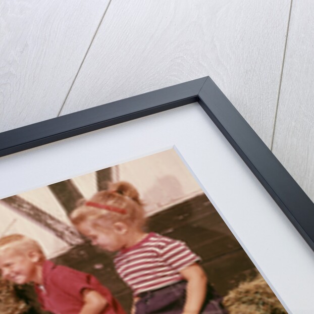 1950s 1960s Children Boy And Girl Feeding Calf Bottle Milk Outside Barn by Anonymous