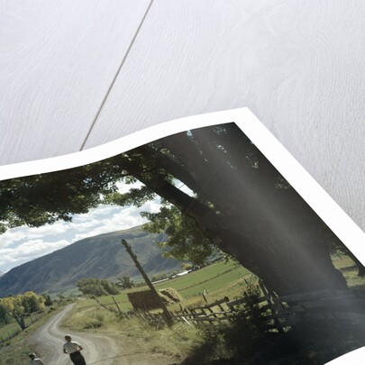 1960s Two Boys Brothers Walking Together Down A Summertime Farm Country Road by Anonymous