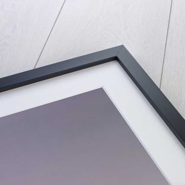 1950s 1960s Couple Man Woman Riding Bicycles Outdoors by Anonymous