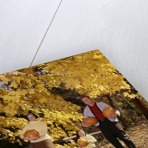 1960s Family Trio Father Mother Daughter Walking In Autumn Woods Carrying Pumpkins by Anonymous