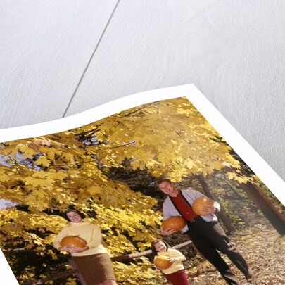 1960s Family Trio Father Mother Daughter Walking In Autumn Woods Carrying Pumpkins by Anonymous