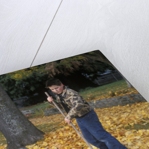 1970s 1980s Teenage Boy Raking Autumn Leaves by Anonymous