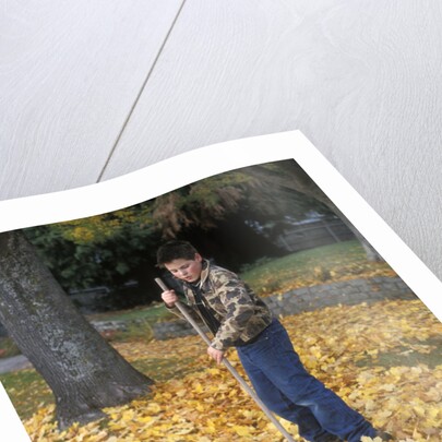 1970s 1980s Teenage Boy Raking Autumn Leaves by Anonymous