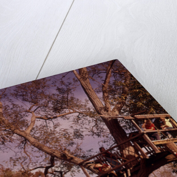 1960s 6 Children Playing In And Climbing Ladder Into Tree House In Suburban Backyard by Anonymous
