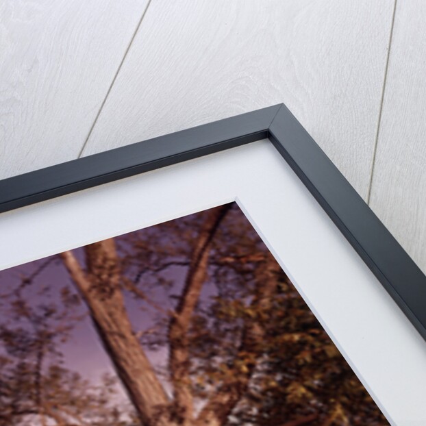1960s 6 Children Playing In And Climbing Ladder Into Tree House In Suburban Backyard by Anonymous