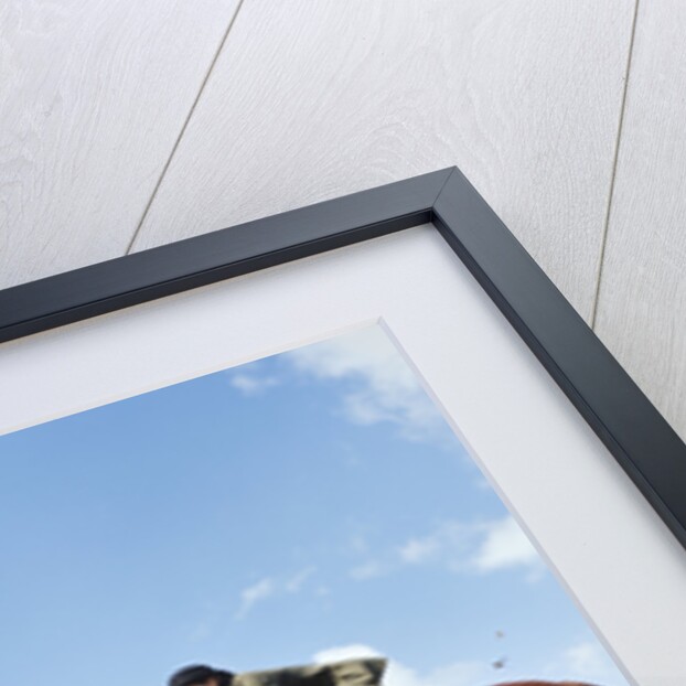 1970s Woman Equestrian Rider Jumping Over Split Rail Fence During Steeplechase Horse Race by Anonymous