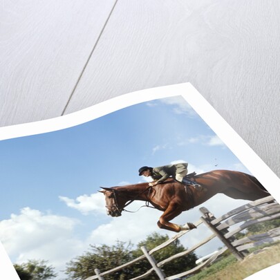 1970s Woman Equestrian Rider Jumping Over Split Rail Fence During Steeplechase Horse Race by Anonymous
