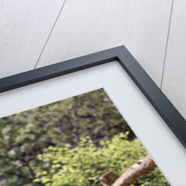 1960s Little Boy And Girl Holding Hands And Walking Across Wooden Footbridge by Anonymous