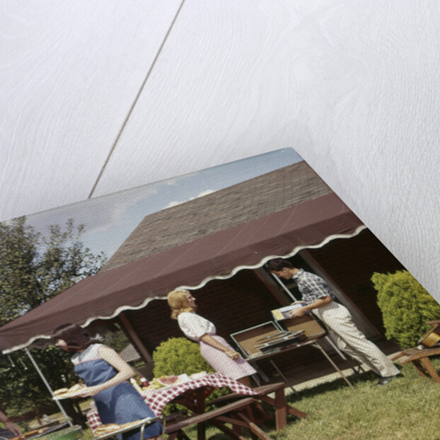 1960s Two Teenaged Couples Having Barbecue In Suburban Backyard by Anonymous