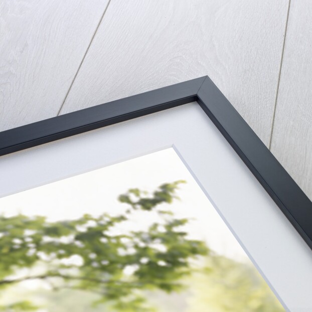 1970s Woman Mother With Girl Daughter Swinging Playing On Rope Swing by Anonymous