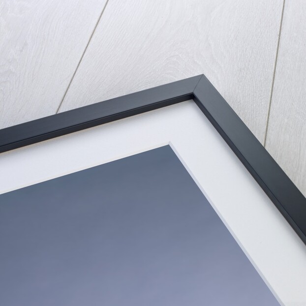 1960s Young Businessman Salesman Talking On Telephone by Anonymous