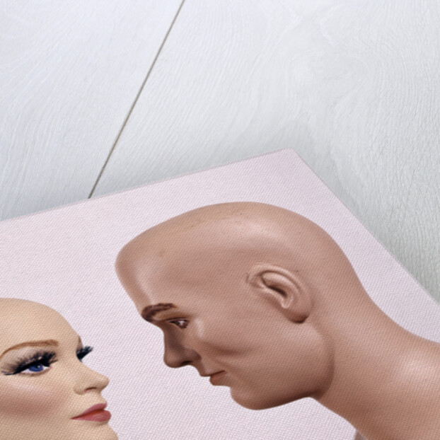 Couple Man Woman Male Female Bald Mannequin Dummy Model by Anonymous