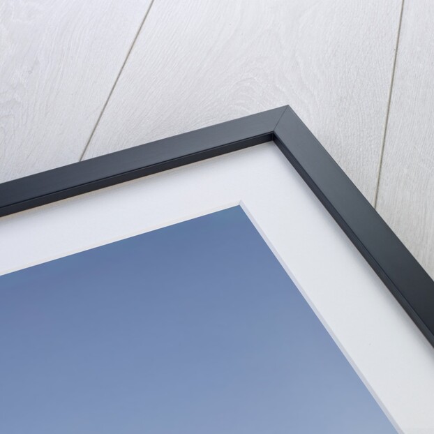 1960s Mailman Holding Letters Mail Leather Mailbag In Suburban Neighborhood by Anonymous