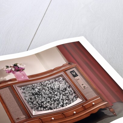 1960s Televison Showing Crowd Of People by Anonymous