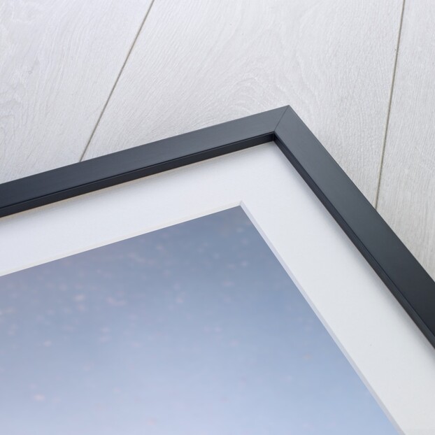 1960s Cold Little Girl In Winter Coat And Hood Looking Up At Falling Snow by Anonymous