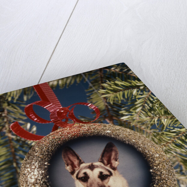 1960s 1970s Picture German Shepherd Dog On Christmas Tree Ornament by Anonymous