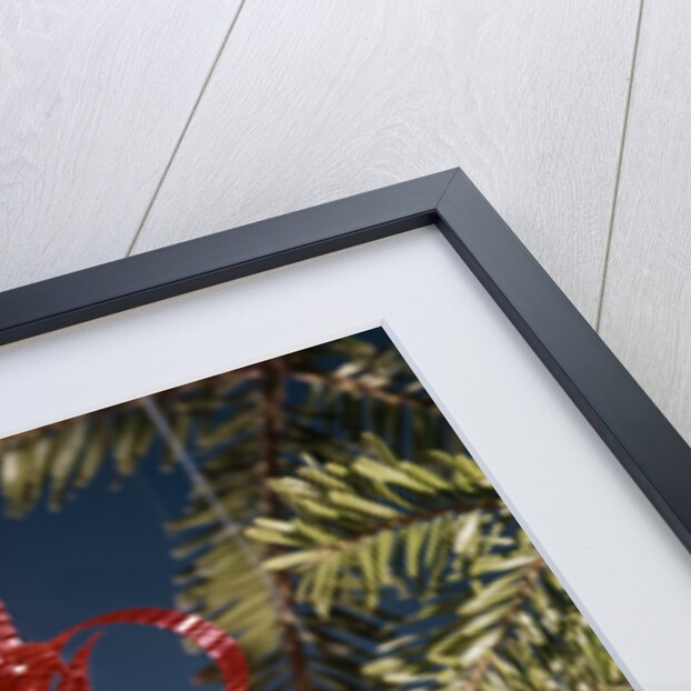 1960s 1970s Picture German Shepherd Dog On Christmas Tree Ornament by Anonymous