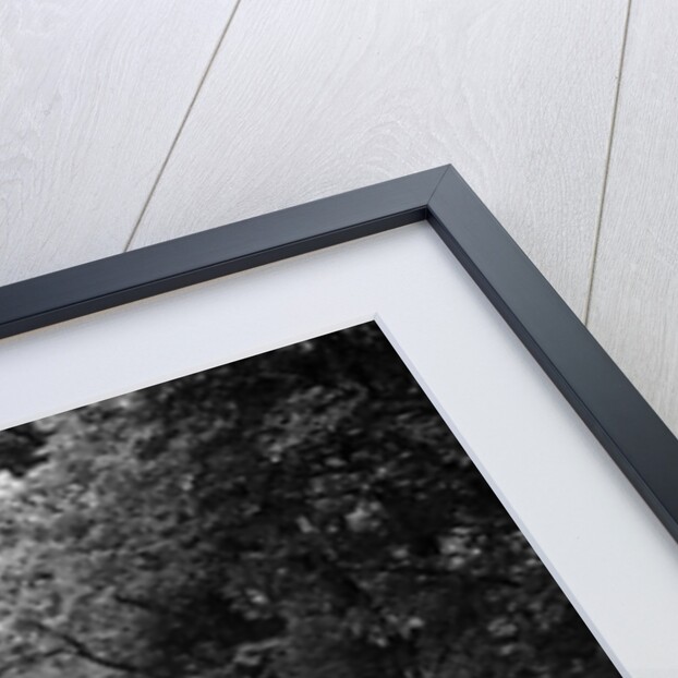 1940s 1941 Couple Man And Woman In Pontiac Convertible Driving On Country Lane In Countryside by Anonymous