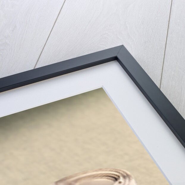 1970s Red Elastic Rubber Bands Around Roll Of One Dollar Bills by Anonymous