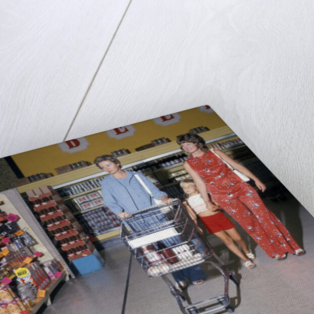 1970s Two Women Small Girl Walking Down Supermarket Grocery Store Aisle Woman Pushing Cart by Anonymous