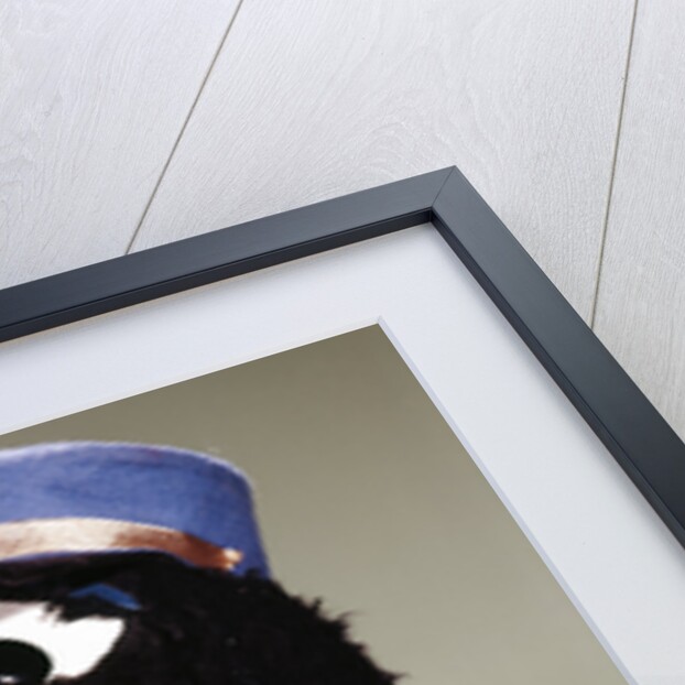 1970s Parrot Head Costume Hand Puppet With Smoking Cigarette In Its Beak by Anonymous