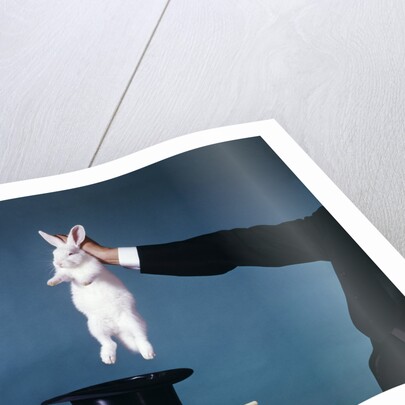 Hand Of Magician Pulling White Rabbit Out Of Black Silk Top Hat by Anonymous