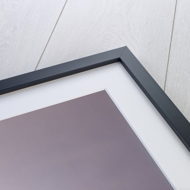 1970s Young Man Mustache Loud Print Shirt Desk Empty Coffee Cup Pot Family Budget by Anonymous